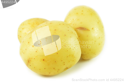 Image of Three whole raw potatoes