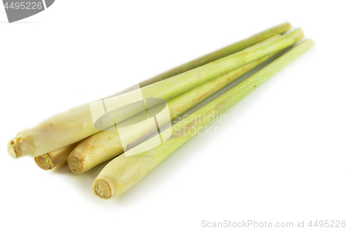 Image of Fresh lemon grass