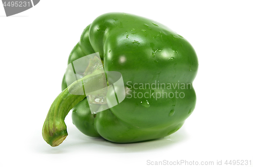 Image of Green bell pepper