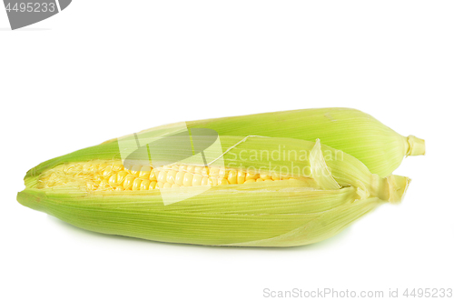 Image of Sweet corn peeled and with leaves