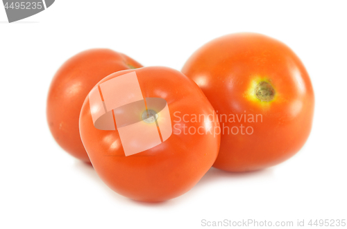 Image of Fresh red tomato