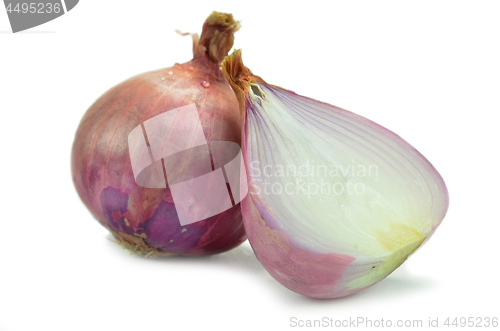 Image of Salad shallot isolated