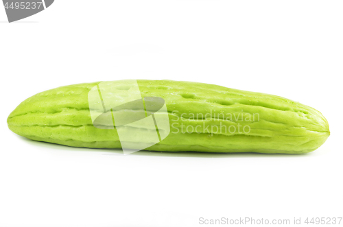 Image of Green bitter gourd