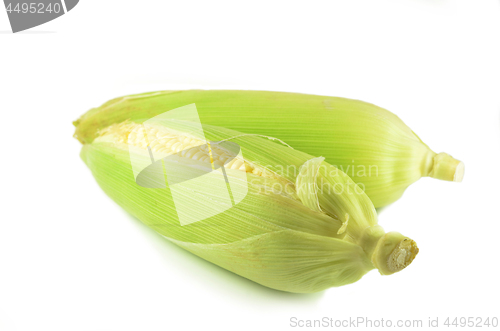 Image of Sweet corn peeled and with leaves