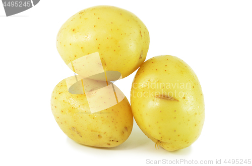 Image of Three whole raw potatoes