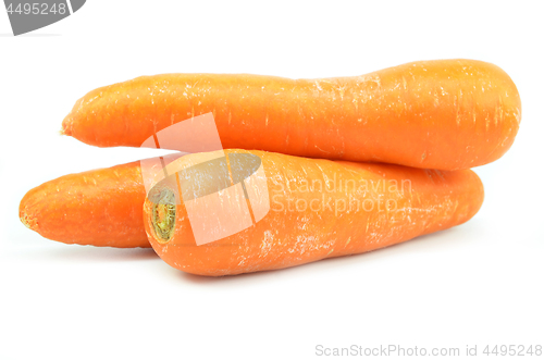 Image of Whole orange carrot isolated