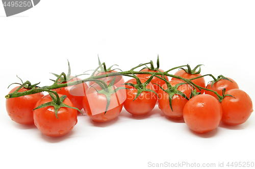 Image of Red cherry tomato