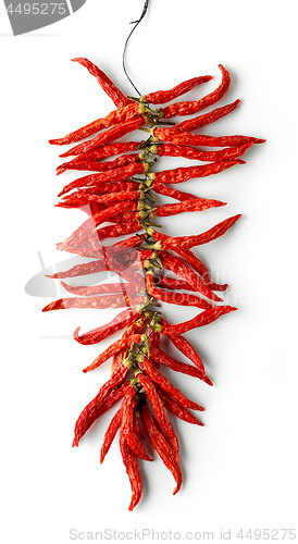 Image of dried red hot chili peppers
