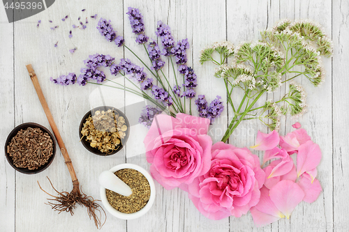 Image of Herbal Medicine Selection