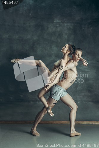 Image of The young modern ballet dancers posing on gray studio background