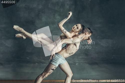 Image of The young modern ballet dancers posing on gray studio background