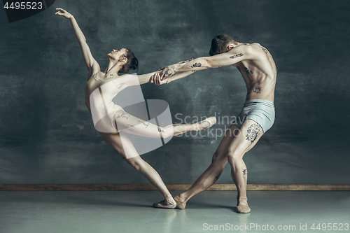 Image of The young modern ballet dancers posing on gray studio background