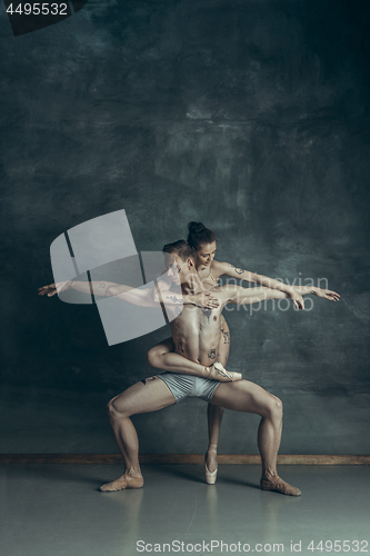 Image of The young modern ballet dancers posing on gray studio background