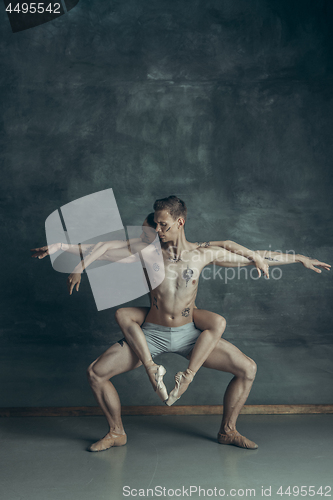 Image of The young modern ballet dancers posing on gray studio background