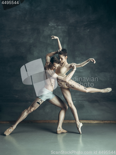 Image of The young modern ballet dancers posing on gray studio background