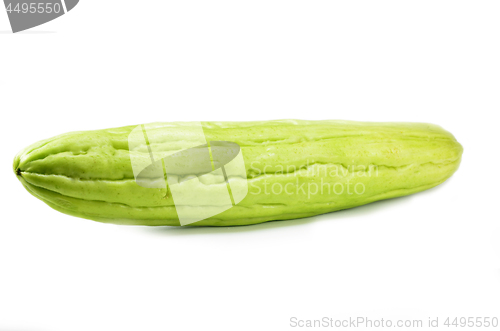 Image of Green bitter gourd