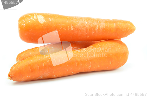 Image of Whole orange carrot isolated