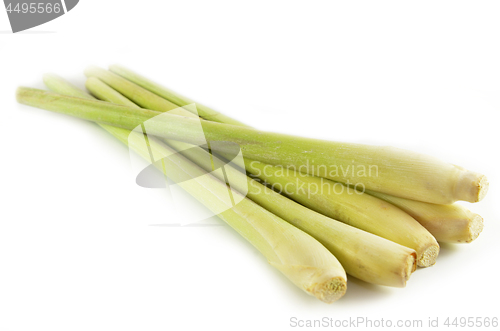 Image of Fresh lemon grass 