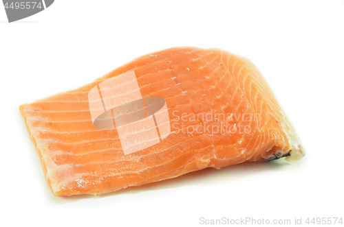 Image of Fresh salmon fillet isolated