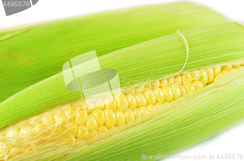 Image of Sweet corn peeled and with leaves