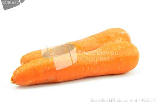 Image of Whole orange carrot isolated