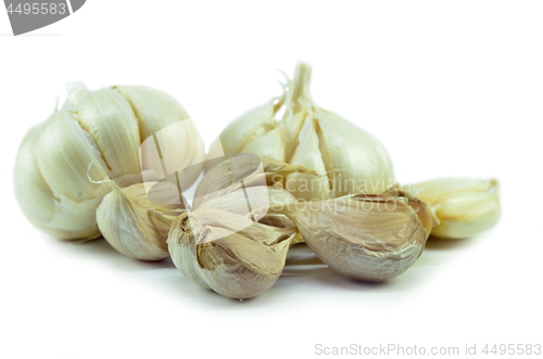 Image of Isolated garlic and clove