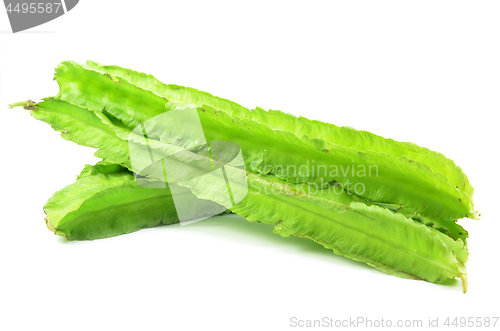 Image of Green winged beans