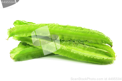 Image of Green winged beans