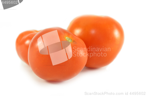 Image of Fresh red tomato