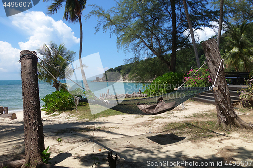 Image of Cozy hammock in attached to tree