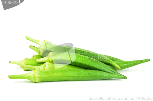 Image of Green okra isolated