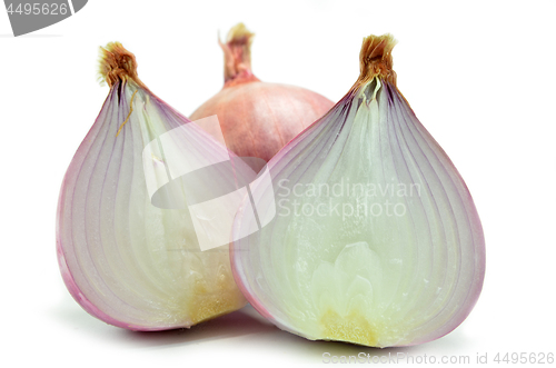 Image of Salad shallot isolated