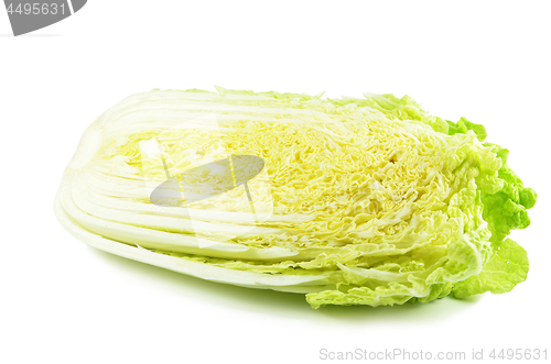 Image of Napa cabbage isolated