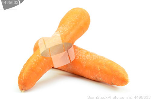 Image of Whole orange carrot isolated