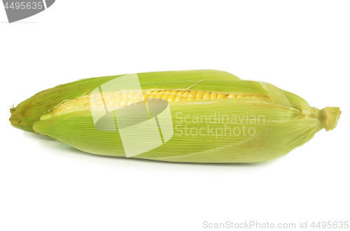 Image of Sweet corn peeled and with leaves