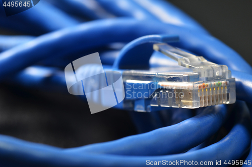 Image of LAN network connection blue cable