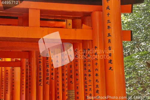 Image of Fushimi Inari Taisha torii gates