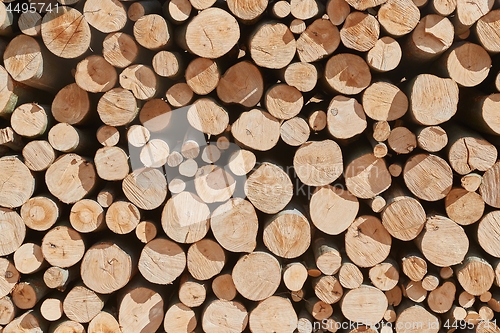 Image of Log wood pile