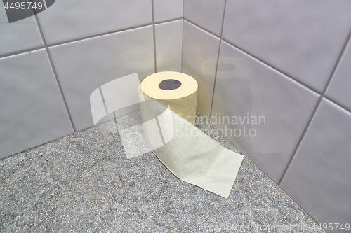 Image of Toilet paper in the corner