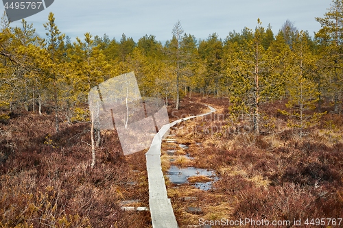 Image of Swamps in Finland