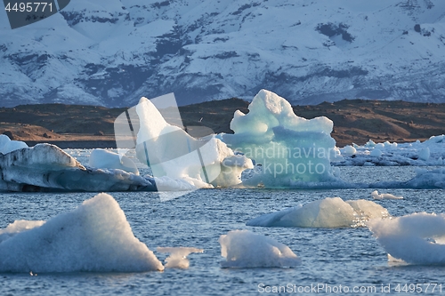 Image of Glacial lake with icebergs