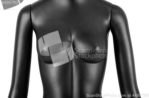 Image of Black female mannequin isolated on white background.