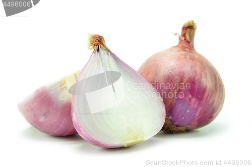 Image of Salad shallot isolated