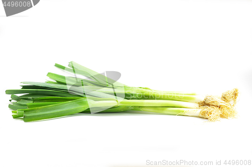 Image of Fresh leek onion