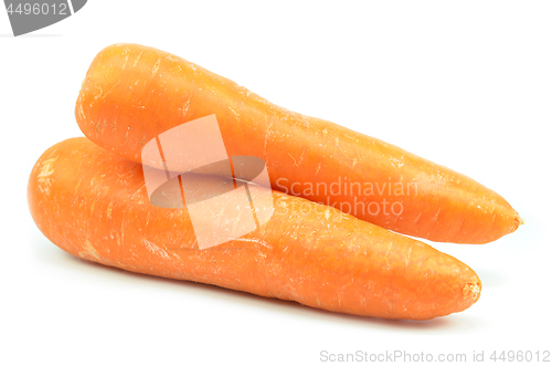 Image of Whole orange carrot isolated