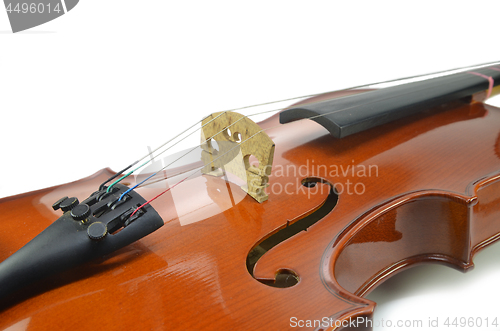 Image of Close up of violin