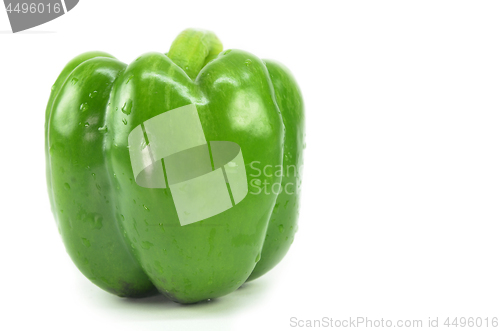 Image of Green bell pepper