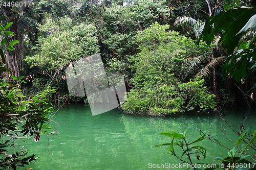 Image of Tropical lake in mangrove rain forest