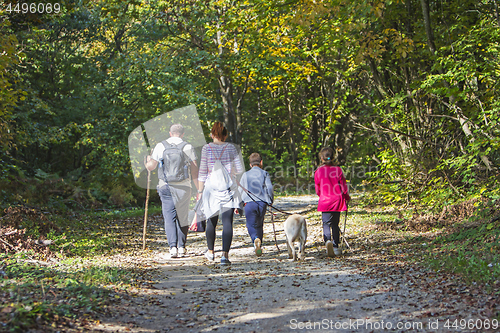 Image of Couple with kids and dog walking by hiking trail in the autumn forest