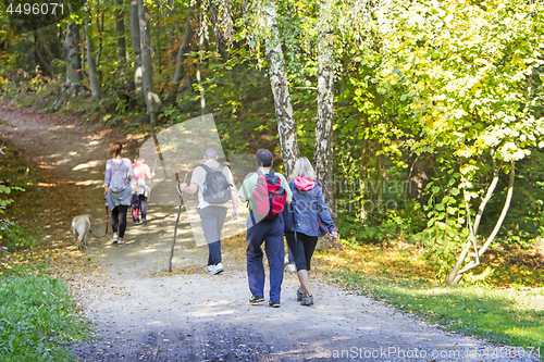 Image of Group of people walking by hiking trail in the autumn forest